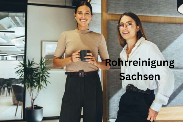 Kase – Ursprung, Bedeutung und aktuelle Trends im Fokus