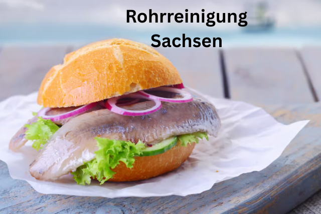 _Warum das Nordsee Fischbrötchen mehr ist als nur ein schneller Snack mit Tradition